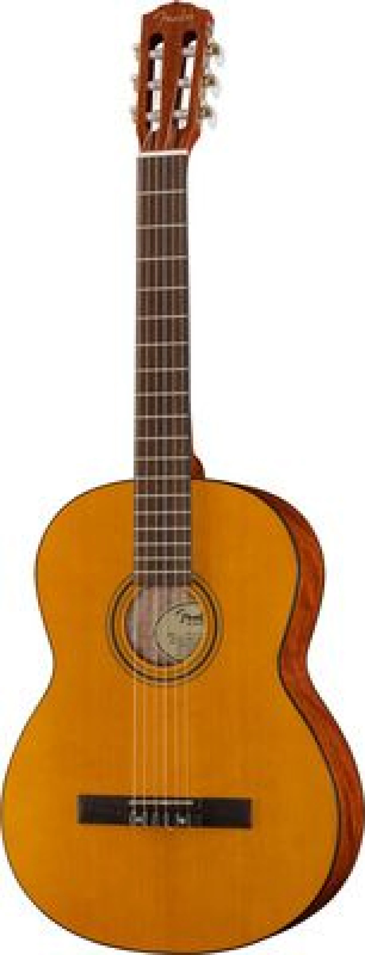 Fender ESC110 Educational 4/4 WN
