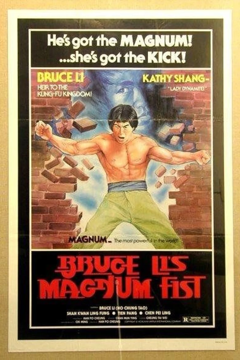 Bruce Li's Magnum Fist (1983)